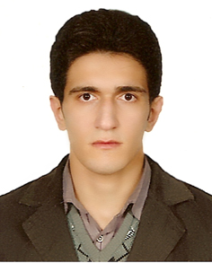 محمدرضا محمدی
